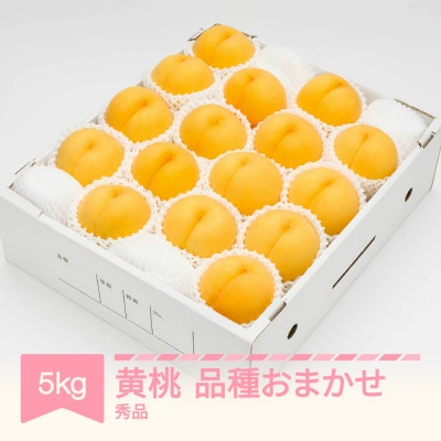 【先行受付】 有袋黄桃 秀品 品種おまかせ 化粧箱入り 約5kg 令和8年産