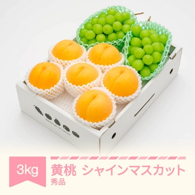 【先行受付】 有袋黄桃 秀品&シャインマスカット 詰め合わせ 約3kg 令和8年産
