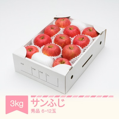 【先行予約】2026年産りんご サンふじ 3kg 秀品