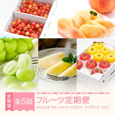 【発送月固定定期便】【夏始まり】フルーツ定期便全5回