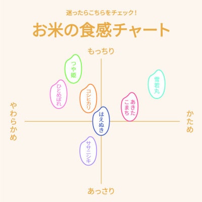 令和7年産 はえぬき 10kg 精米
