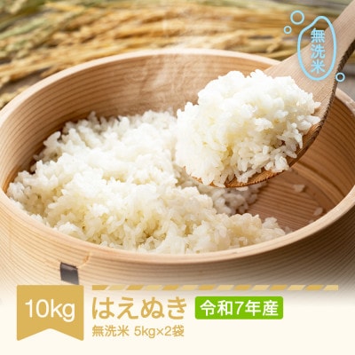 令和7年産 はえぬき 10kg 無洗米