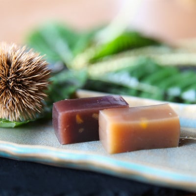 【人気2種セット】栗を味わう「純栗」「あずき」羊羹〈大〉2本セット