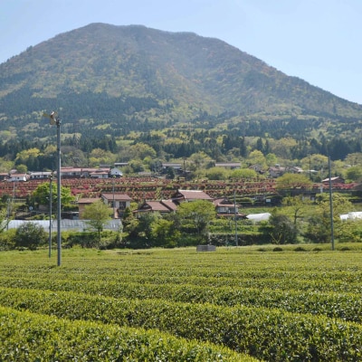 【3種セット】香ばしさが魅力の「まめ茶」と「ほうじ茶」の奥深さを楽しむ飲み比べセット