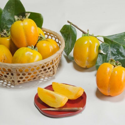 【発送月固定定期便】2026年10月発送開始 有機JAS認証オーガニック西条柿・満喫コース全3回