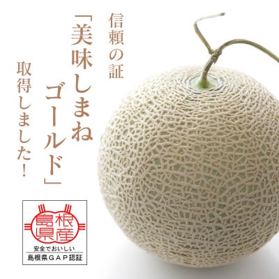 メロンパークのメロン【2025年8月より順次発送・2Lサイズ2玉】
