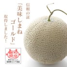 メロンパークのメロン【2025年9月より順次発送・2Lサイズ2玉】