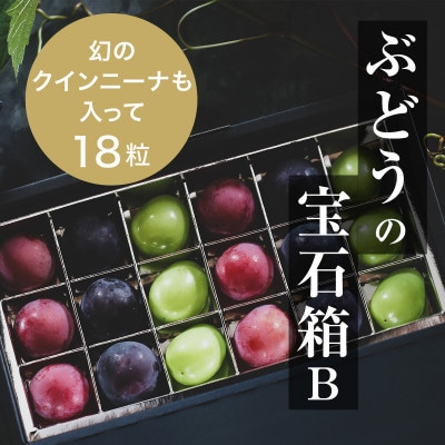 『ぶどうの宝石箱B』(3品種)【2025年9月より順次発送/ふるさと納税限定/数量限定】