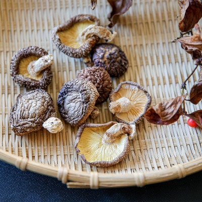 森の養分だけで育った津和野町産・原木干ししいたけ＜100g×2パック＞
