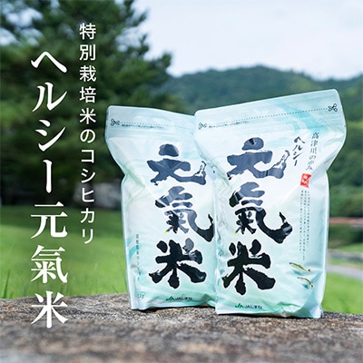 高津川の恵み 特別栽培米ヘルシー元氣米2kg×2袋(4kg)(令和6年産)