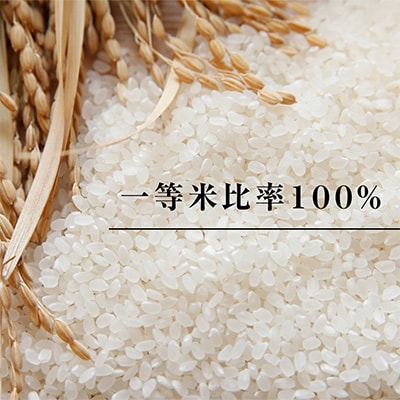 高津川の恵み 特別栽培米ヘルシー元氣米5kg×2袋(10kg)(令和6年産)