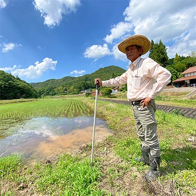 高津川の恵み 特別栽培米ヘルシー元氣米5kg×2袋(10kg)(令和6年産)