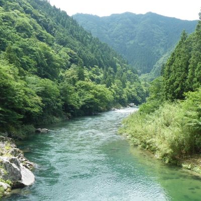 【天然もの】清流・高津川上流で捕れた天然あゆ(冷凍500g・5～10尾程度)
