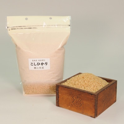 【毎月定期便】津和野産こしひかり一分づき玄米 2kg全12回