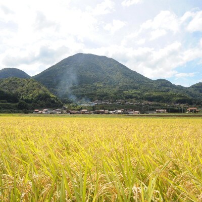 【毎月定期便】津和野産こしひかり一分づき玄米 2kg全12回