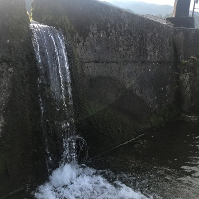 【津和野初のクラフトビール6本セット】青野山の湧水と津和野の蜂蜜を使用した喉越しの良いペールエール
