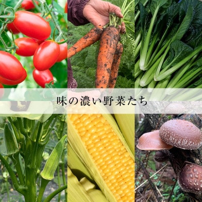 【産地直送】島根県津和野産・採れたて旬の野菜詰め合わせセット[6～8種セット]