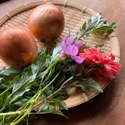 【手ぶらで参加】季節の植物でシルクストールを染める「草木染体験チケット」