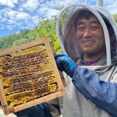 津和野の木や花の蜜を集めた天然百花蜜「里山の雫」(315g×2瓶)