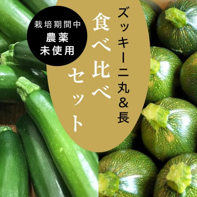 【2025年6月中旬より順次発送】【数量限定】栽培期間中農薬不使用「長&丸ズッキーニ食べ比べ」