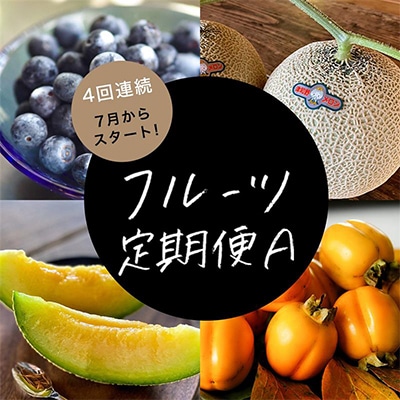 【発送月固定定期便】フルーツ定期便A 旬の美味しい果物を毎月1種全4回