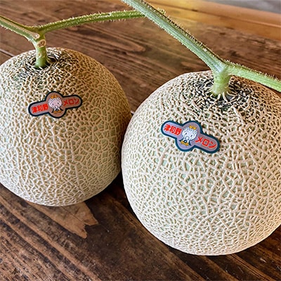 【発送月固定定期便】フルーツ定期便B 旬の美味しい果物を毎月1種全4回