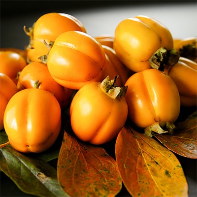 【発送月固定定期便】フルーツ定期便B 旬の美味しい果物を毎月1種全4回