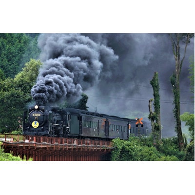 SLやまぐち号での特別体験in津和野〈2名様〉【5月9日運行分】