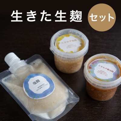 【冷蔵】生きた発酵食品「塩麹・玉ねぎ塩麹・玉ねぎ醤油麹」3種セット