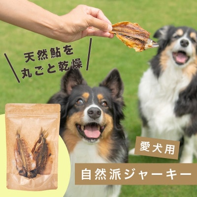【犬用おやつ】天然鮎を丸ごと!清流・高津川の 《鮎ジャーキー》(3尾入り・添加物不使用)