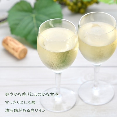 <葡萄作りの匠 田崎正伸>ミュラートゥルガウ 750ml_Y020-0391