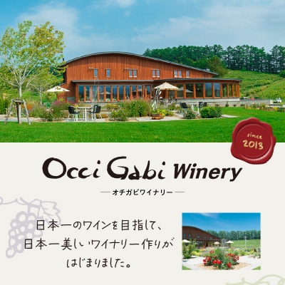 【OcciGabi Winery】おススメ黒ラベルシリーズ6本セット_Y012-0098
