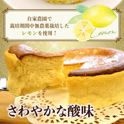洋菓子素材工房ぴゅあハウス 冷凍チーズケーキ 約15cm (5号)