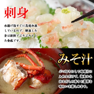 [活き〆冷凍]肝付町内之浦産　伊勢海老(えっがね)の刺身<超特大サイズ>　D47002