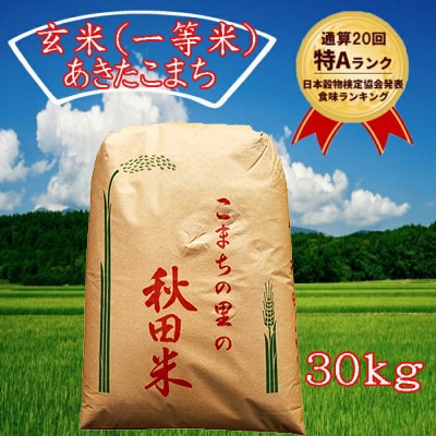 秋田こまち（秋田県由利本荘産）