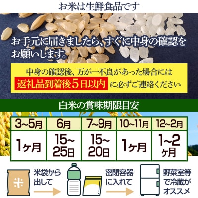 白米 令和7年産 新米 早期受付《定期便10ヶ月》あきたこまち10kg|02_snk-010610s