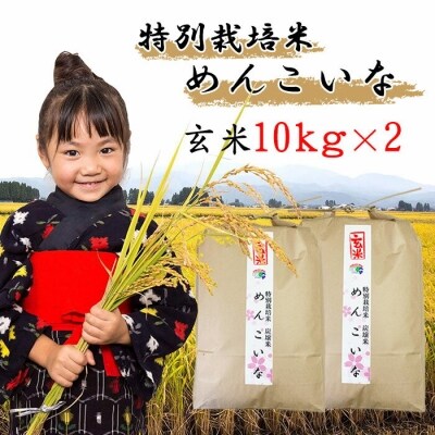 【特別栽培米 炭壌米 めんこいな】令和4年産 玄米 10kg×2袋 [No.5660-0970] | ふるさと納税のお礼品