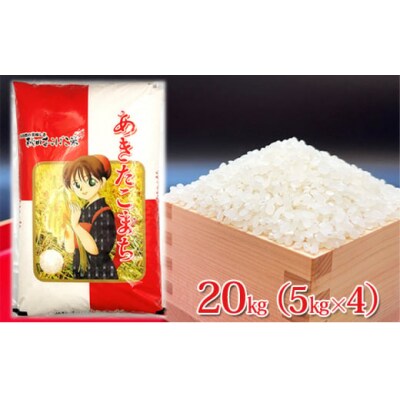 令和4年産 秋田県仙北市角館町産 あきたこまち 20kg 精米[No.5660-1069]