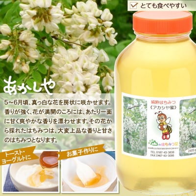 国産 はちみつ アカシヤ 2400g 山のはちみつ屋|02_bsk-040101