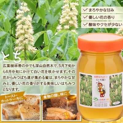 国産 はちみつ トチ 600g 2本セット 山のはちみつ屋|02_bsk-060201