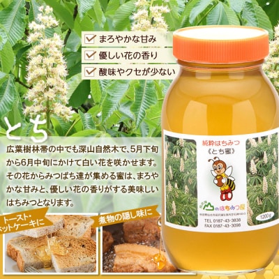 国産 はちみつ トチ 1200g 山のはちみつ屋|02_bsk-070101
