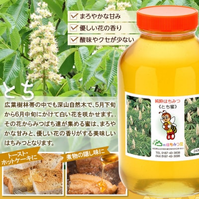 国産 はちみつ トチ 2400g 山のはちみつ屋|02_bsk-080101