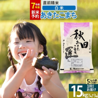 【白米15kg】令和7年産秋田県産あきたこまち 15kg 匠|02_snk-010701