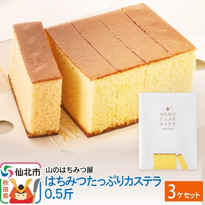 はちみつたっぷりカステラ 0.5斤 3個 セット 山のはちみつ屋|02_bsk-120301