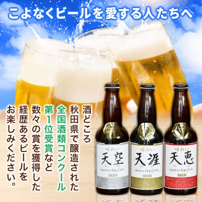 湖畔の杜ビールのおすすめ24本セット|02_tst-021301