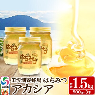 秋田県産はちみつ アカシア蜜 500g×3本 合計1.5kg|02_tyj-060301