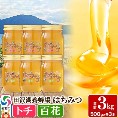 秋田県産はちみつ(トチ・百花)500g×各3本 合計3kg|02_tyj-180301
