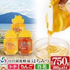 秋田県産はちみつ(トチ・リンゴ・百花)250g×各1本 合計750g|02_tyj-201101