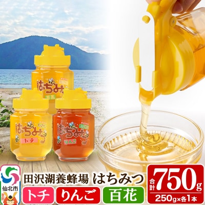 秋田県産はちみつ(トチ・リンゴ・百花)250g×各1本 合計750g|02_tyj-201101