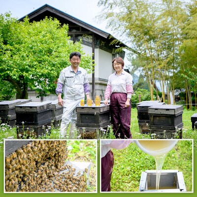 秋田県産はちみつ(トチ・リンゴ・百花)250g×各1本 合計750g|02_tyj-201101